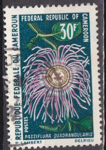 CAMEROUN  N° 482 de 1970 oblitéré 