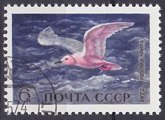 Timbre oblitéré n° 3803(Yvert) URSS 1972 - Oiseau marin