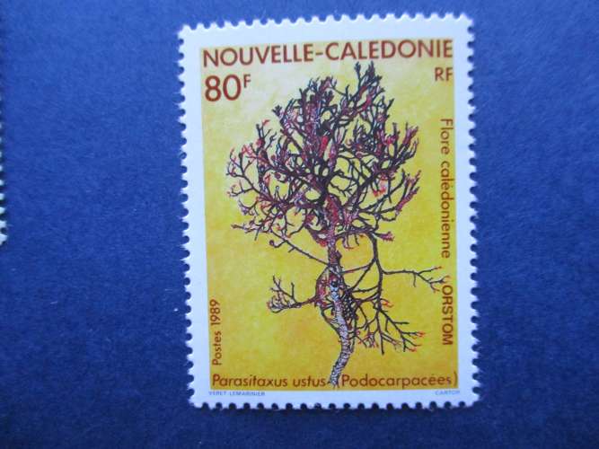 Nouvelle - Calédonie y & t 574  ** 1989