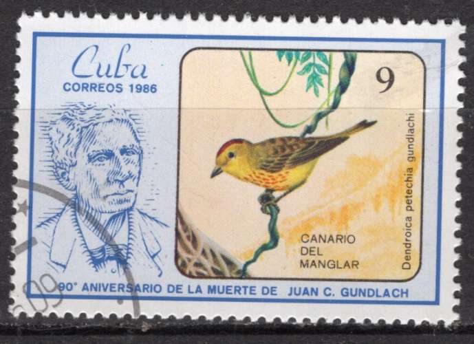 CUBA 1986  LES OISEAUX LE CANARI DE MANGLAR OBLITERE