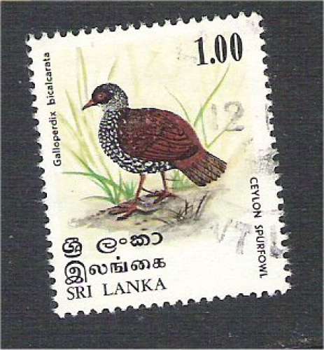 Sri Lanka - Scott 567