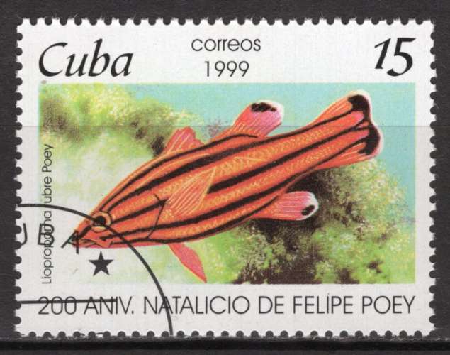 CUBA 1999  LES POISSONS OBLITERE