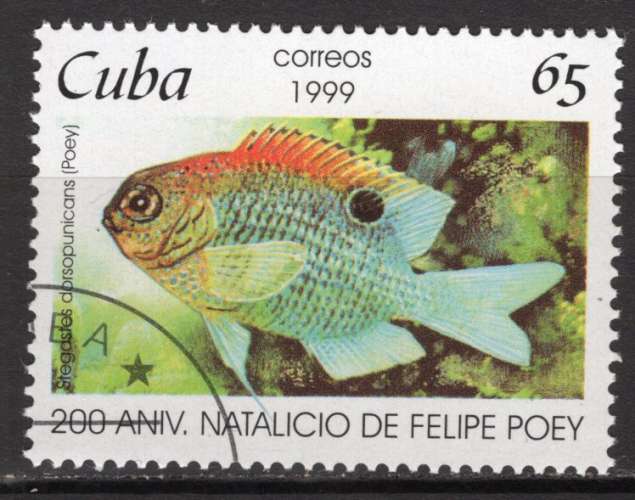 CUBA 1999  LES POISSONS OBLITERE