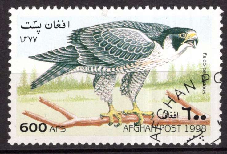 AFGHANISTAN 1998  OISEAU RAPACE LE FAUCON OBLITERE