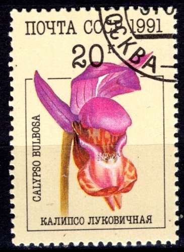 RUSSIE 1991 FLEURS LES ORCHIDEES OBLITERE