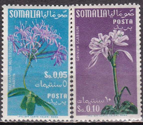 SOMALIE Italienne N° 237/8 de 1955 neufs