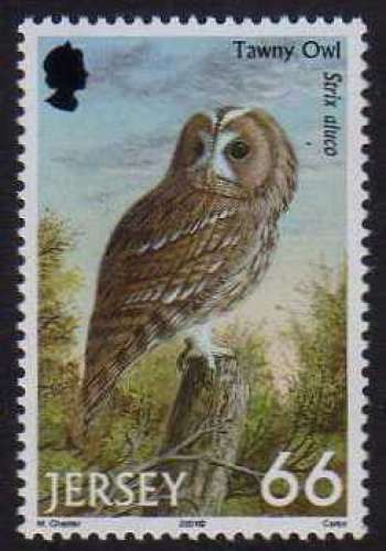 Oiseau de proie : chouette hulotte (2001) - YT 991 **