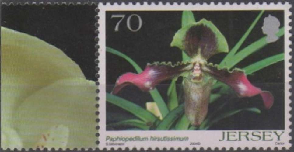 Orchidée: paphiopedilum hirsutissimum (2004) - YT 1161 **