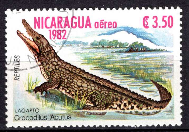 NICARAGUA 1982  ANIMAUX SAUVAGE LE CROCRODILE  OBLITERE