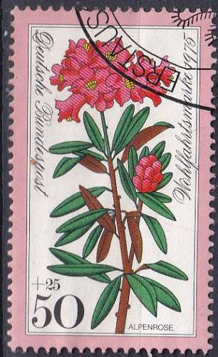 ALLEMAGNE - 1975 - Fleurs - Yvert 718 Oblitéré