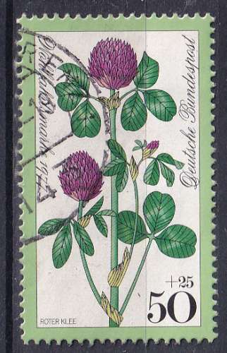 ALLEMAGNE - 1977 - Fleurs - Yvert 798 Oblitéré