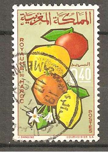 MAROC   Y T N ° 509 oblitéré