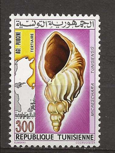 TUNISIE     ANNEE 1982 Y.T N°969 NEUF**  Fossiles