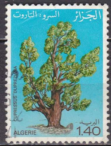 ALGERIE N° 733 de 1981 oblitéré 