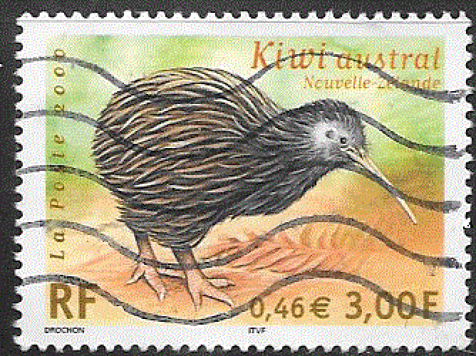 France - YT 3360 obl - Kiwi austral (2000) 