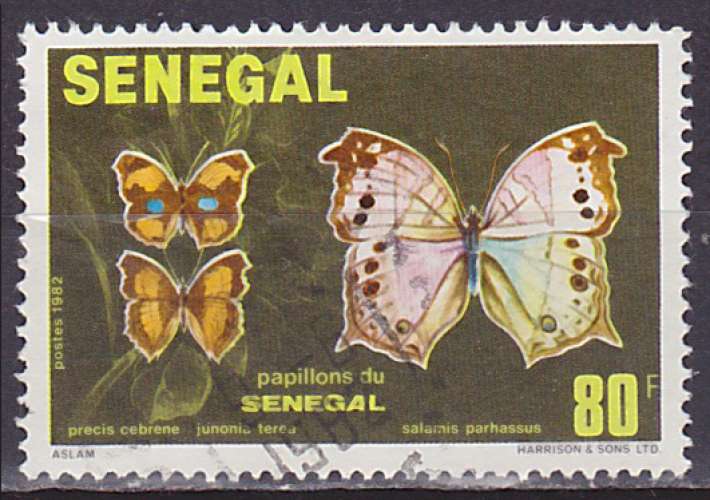 Timbre oblitéré n° 569(Yvert) Sénégal 1982 - Papillons