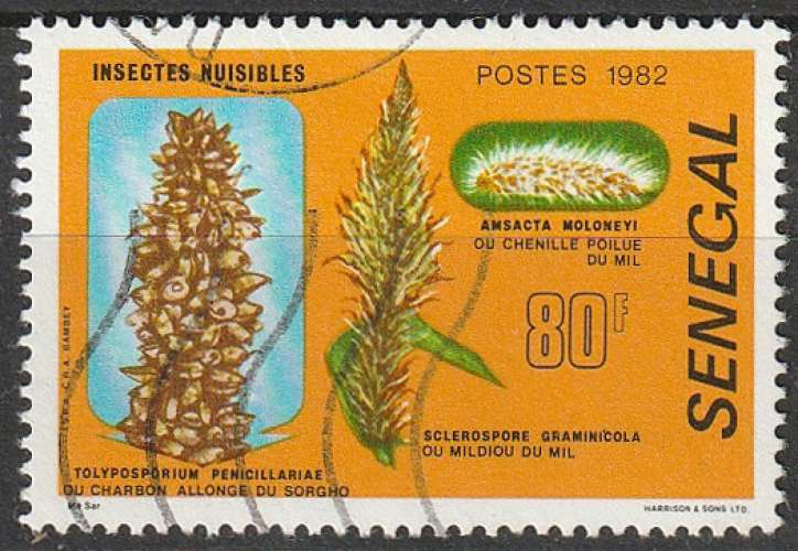 Timbre oblitéré n° 571(Yvert) Sénégal 1982 - Insectes nuisibles