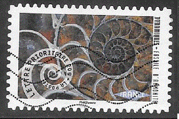 France - YT adhésif 931 obl  - Fossile d'ammonite (2014)