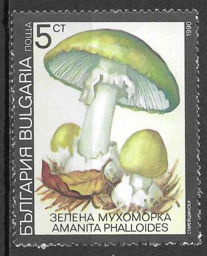  BULGARIE 1991 - Y&T3352 - Champignon. Amanite phalloïde - oblitéré