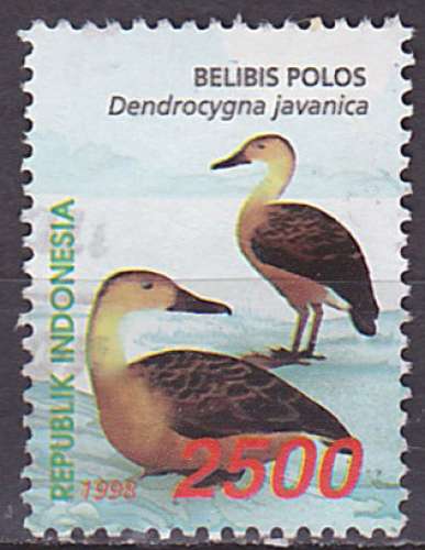 Timbre oblitéré n° 1657(Yvert) Indonésie 1998 - Oiseau, dendrocygne siffleur