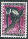 miniature Rwanda - Y&T 0055 (**) - Singes -