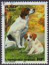 miniature Animaux domestiques- Chiens - Epagneul breton