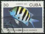 miniature CUBA 1992 OBLITERE N° 3201