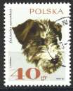 miniature POLOGNE 1969- Y & T : 1749 - Chien : fox terrier