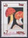 miniature Nepal 1994 Y&T 550 neuf ** - Champignons 