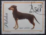 miniature POLOGNE N°1238 Chien oblitéré 