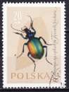 miniature Pologne - Année 1962 - Y& T N° 1140