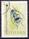 miniature Pologne - Année 1962 - Y& T N° 1142