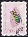 miniature Pologne - Année 1962 - Y& T N° 1144