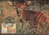 miniature Ghana 1984  Y&T  850/53  antilope bongo  sur 4 CM