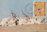 miniature Niger 1989  Y&T  674/77  antilopes  sur 4 CM