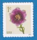 miniature Etats unis 2024 Fleurs. Tulipe C8